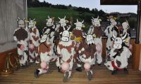 photovache1.pg