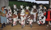 photovache2.pg